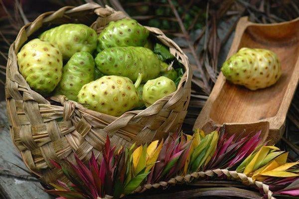 You should know about Chemistry & Nutritional facts of Noni - Sharrets Nutritions LLP