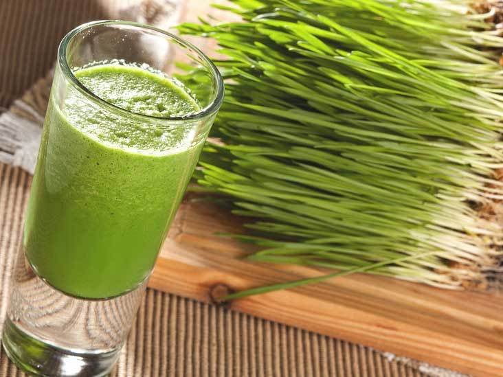 You can’t afford to ignore the benefits of Wheatgrass juice. - Sharrets Nutritions LLP