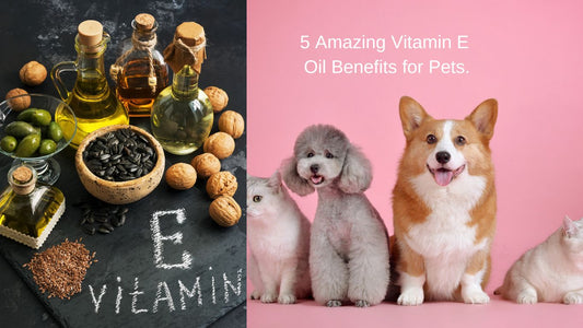 5 Amazing Vitamin E Oil Benefits for Pets. - Sharrets Nutritions LLP