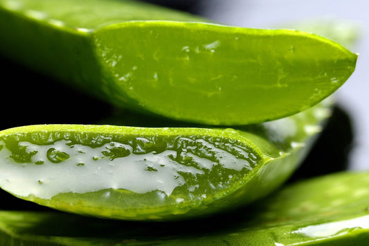 Benefits of Aloe vera for skin I You need to know. - Sharrets Nutritions LLP