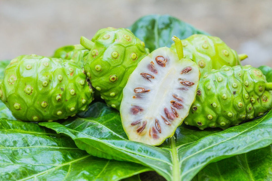 What is Noni ? Everything you need to know about Noni. - Sharrets Nutritions LLP