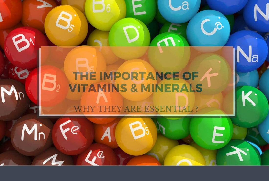 Do you know why Vitamins and Minerals are essential ?  - Sharrets Nutritions LLP