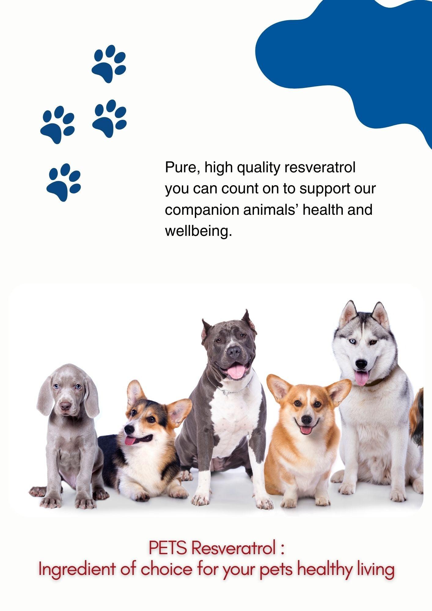 Resveratrol 250mg supplements for Pets - Sharrets Nutritions LLP