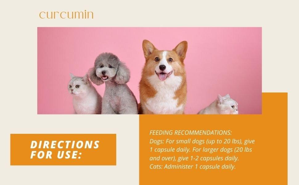 Curcumin Piperine Capsules Pets - Sharrets Nutritions LLP