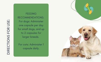 Ashwagandha for Pets - Sharrets Nutritions LLP
