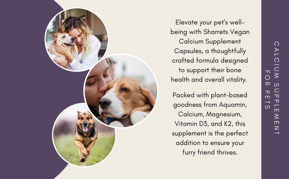 Calcium Supplement Capsules Pets - Sharrets Nutritions LLP