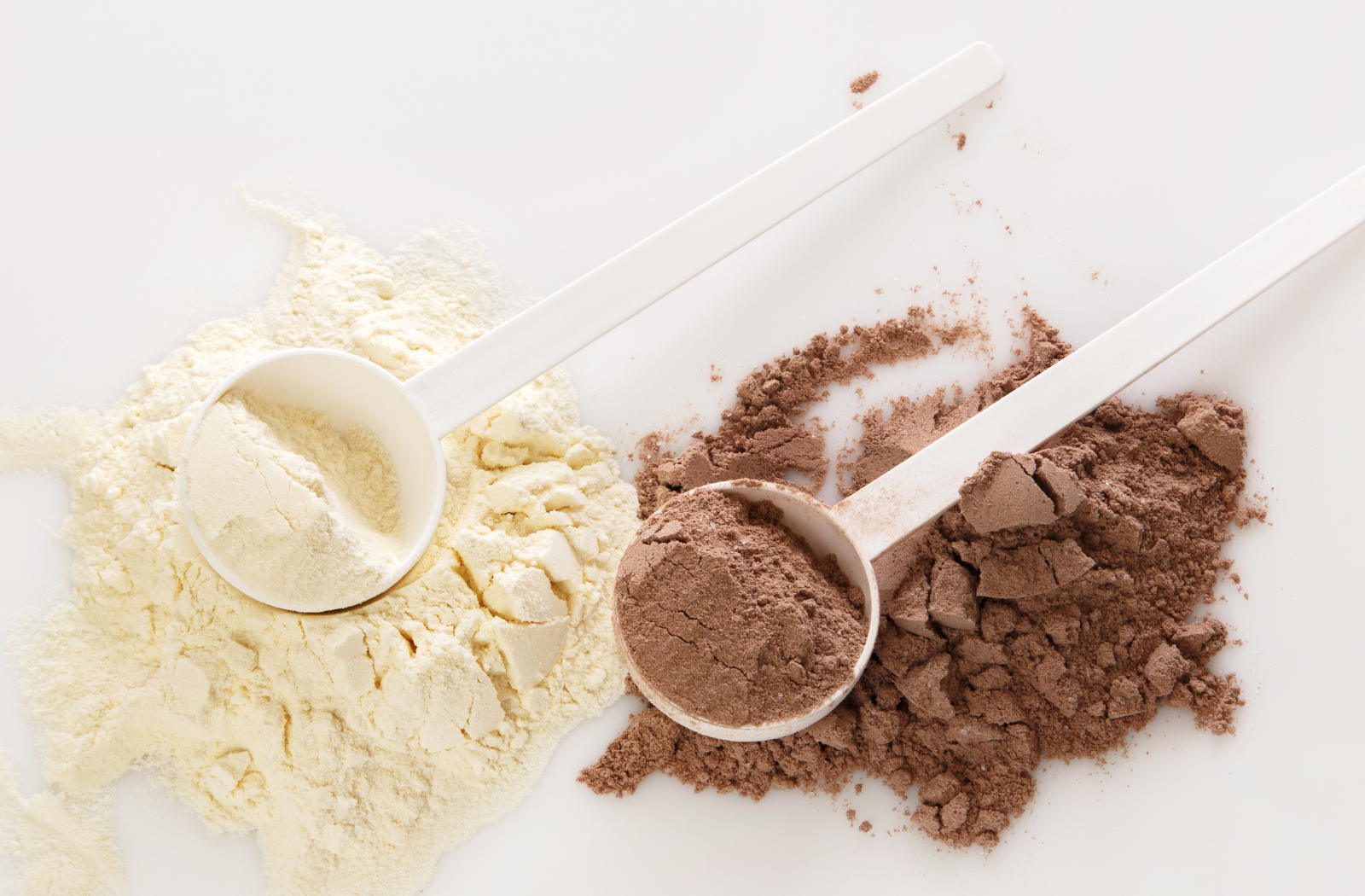 egg white powder chocolate vanilla unflavored - sharrets nutritions